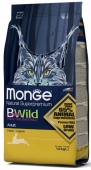 MONGE BWILD CAT BREEDER HARE